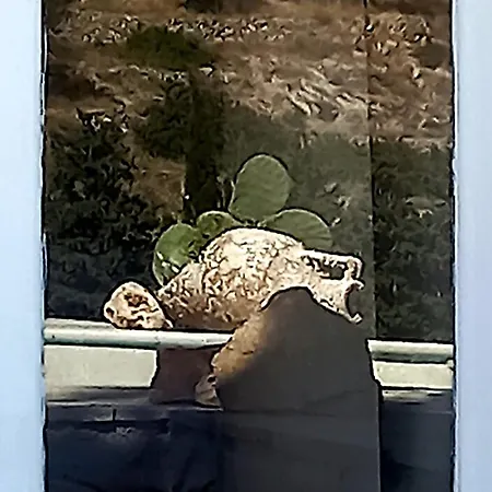 Red Rocks Holiday home *