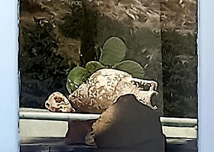 Red Rocks Vakantiehuis *